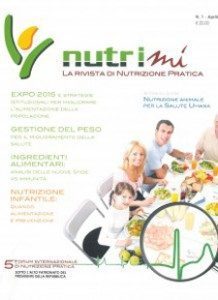 rivista2011
