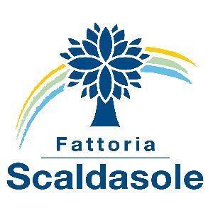 logoScaldasole