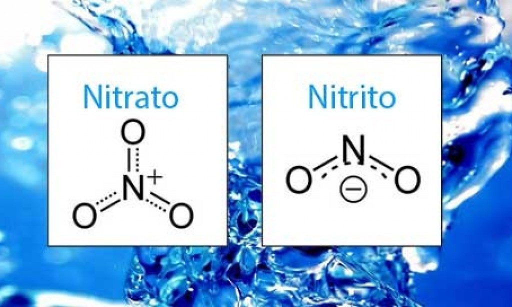 Nitriti e nitrati negli alimenti EFSA ne conferma nuovamente i livelli di sicurezza NutriMI