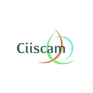 logo_ciiscam
