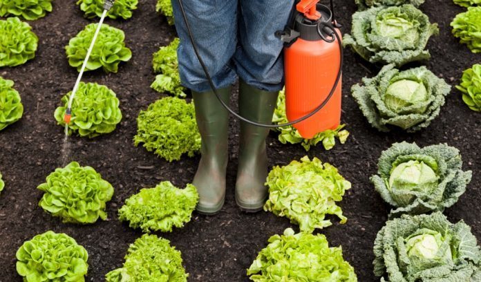 Utilizzo dei pesticidi