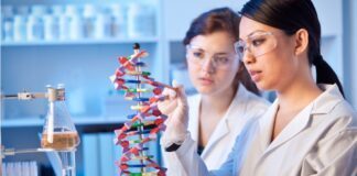 scienziate modello elica dna