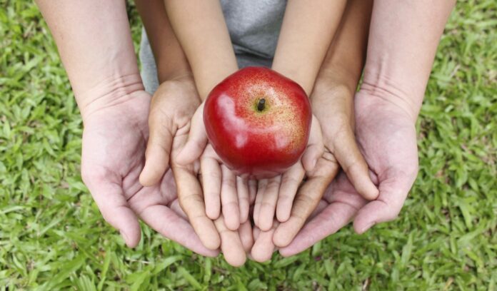 sicurezza alimentare insetti alghe FAO