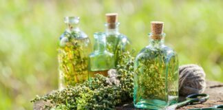 Come risponde il nostro stomaco agli ammazzacaffè alcolici?