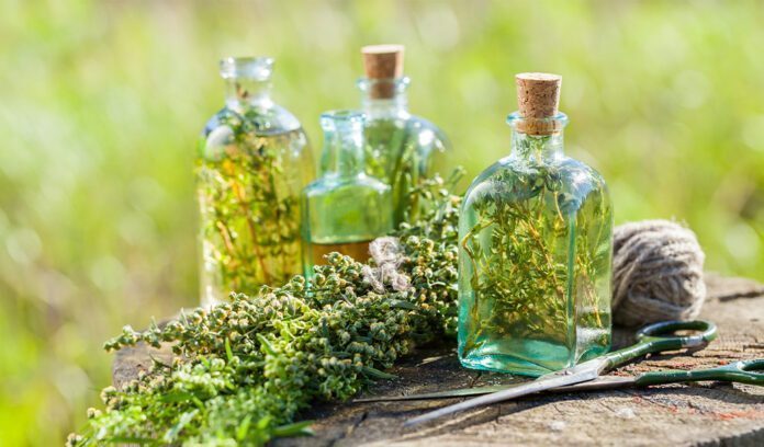 Come risponde il nostro stomaco agli ammazzacaffè alcolici?