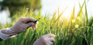 Nutrigenetica: la dieta ideale è impressa nel nostro DNA?