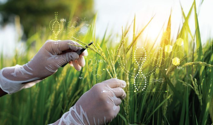 Nutrigenetica: la dieta ideale è impressa nel nostro DNA?