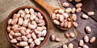 Fagioli: fibre, proteine e prebiotico per il benessere del microbiota intestinale