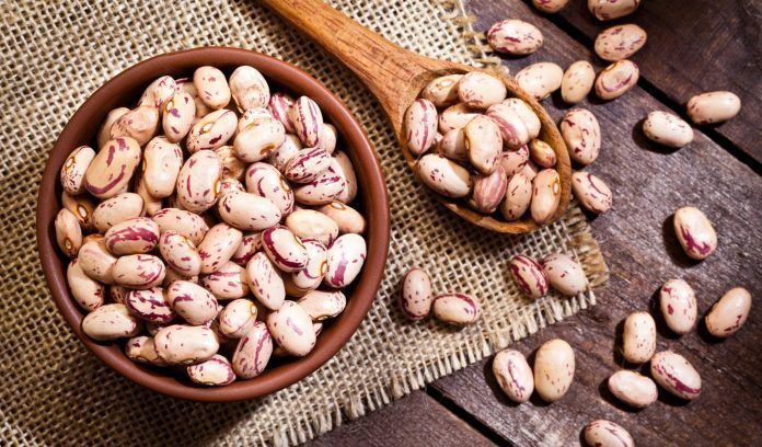 Fagioli: fibre, proteine e prebiotico per il benessere del microbiota intestinale