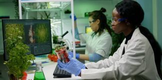 Alla ricerca di sostenibilità: dove arriverà il plant-based?
