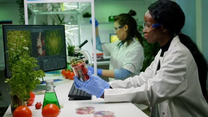 Alla ricerca di sostenibilità: dove arriverà il plant-based?