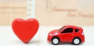 Minicar, lo studio tra Cardiovascolare e Nutraceutica