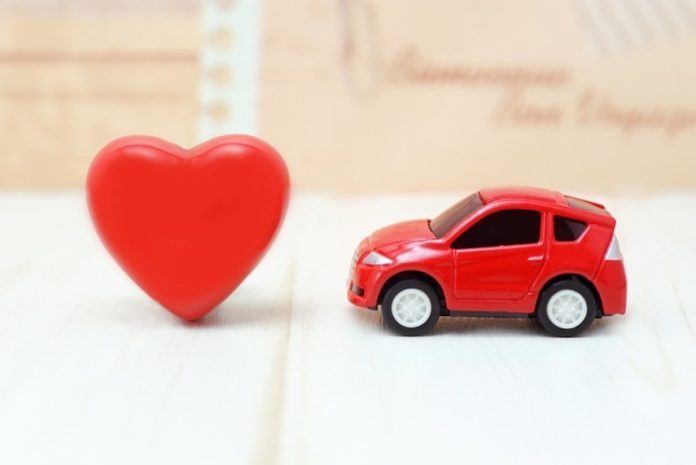 Minicar, lo studio tra Cardiovascolare e Nutraceutica