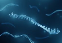 Rna