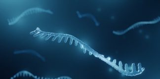 Rna