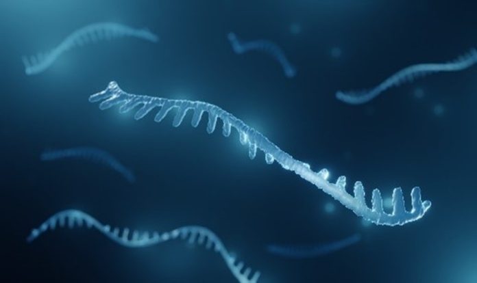Rna