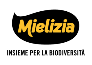 logo Mielizia