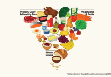 Piramide alimentare USA 2026 con tre gruppi alimentari principali: fonti proteiche, vegetali e cereali.