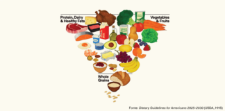 Dagli USA la nuova piramide alimentare: luci e ombre delle linee guida 2025-2030 Piramide alimentare USA 2026 con tre gruppi alimentari principali: fonti proteiche, vegetali e cereali.