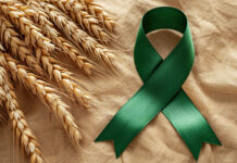 Fiocco verde simbolo della giornata mondiale della celiachia e grano