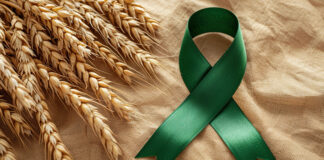 Fiocco verde simbolo della giornata mondiale della celiachia e grano