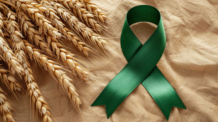 Fiocco verde simbolo della giornata mondiale della celiachia e grano