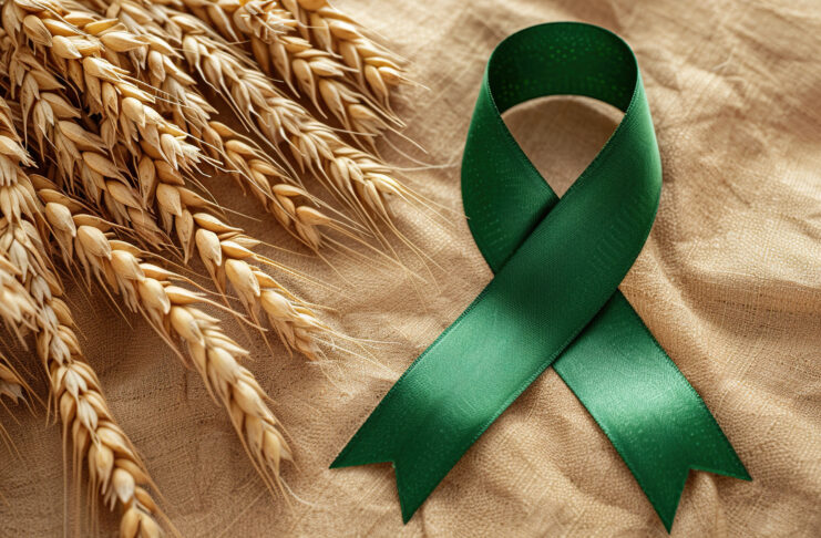 Fiocco verde simbolo della giornata mondiale della celiachia e grano